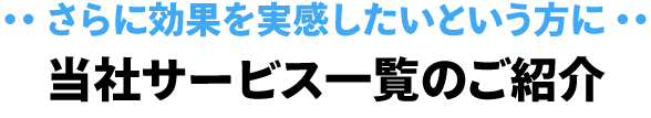 さらに効果を実感したいという方に当社サービス一覧のご紹介